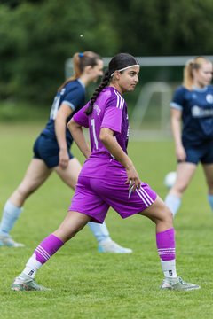Bild 48 - F VfL Pinneberg - GW Eimsbuettel4 : Ergebnis: 9:0